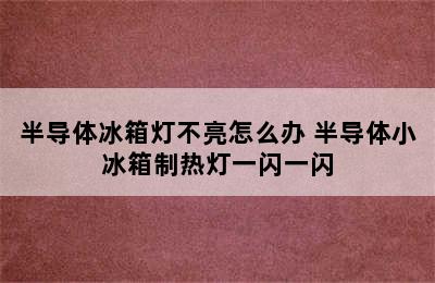 半导体冰箱灯不亮怎么办 半导体小冰箱制热灯一闪一闪